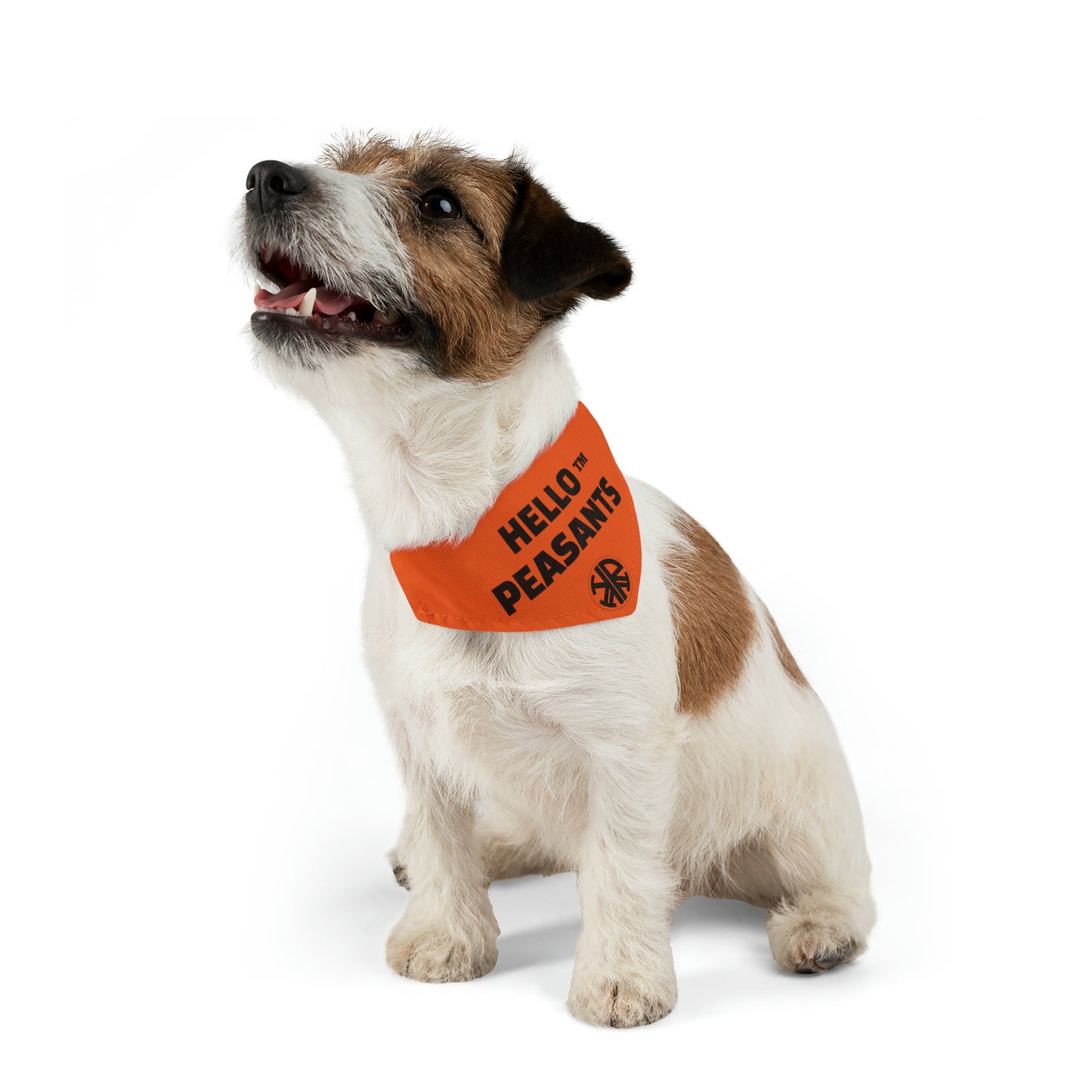 HELLO PEASANTS ™ Pet Bandana Collar designed by @radakatz