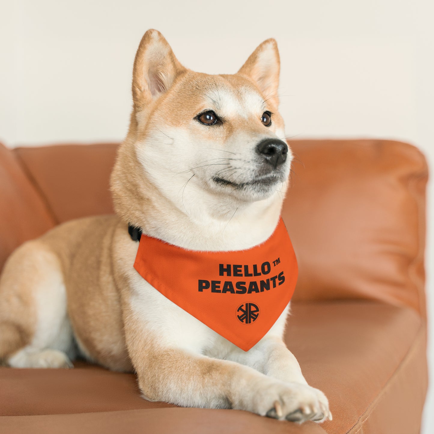 HELLO PEASANTS ™ Pet Bandana Collar designed by @radakatz