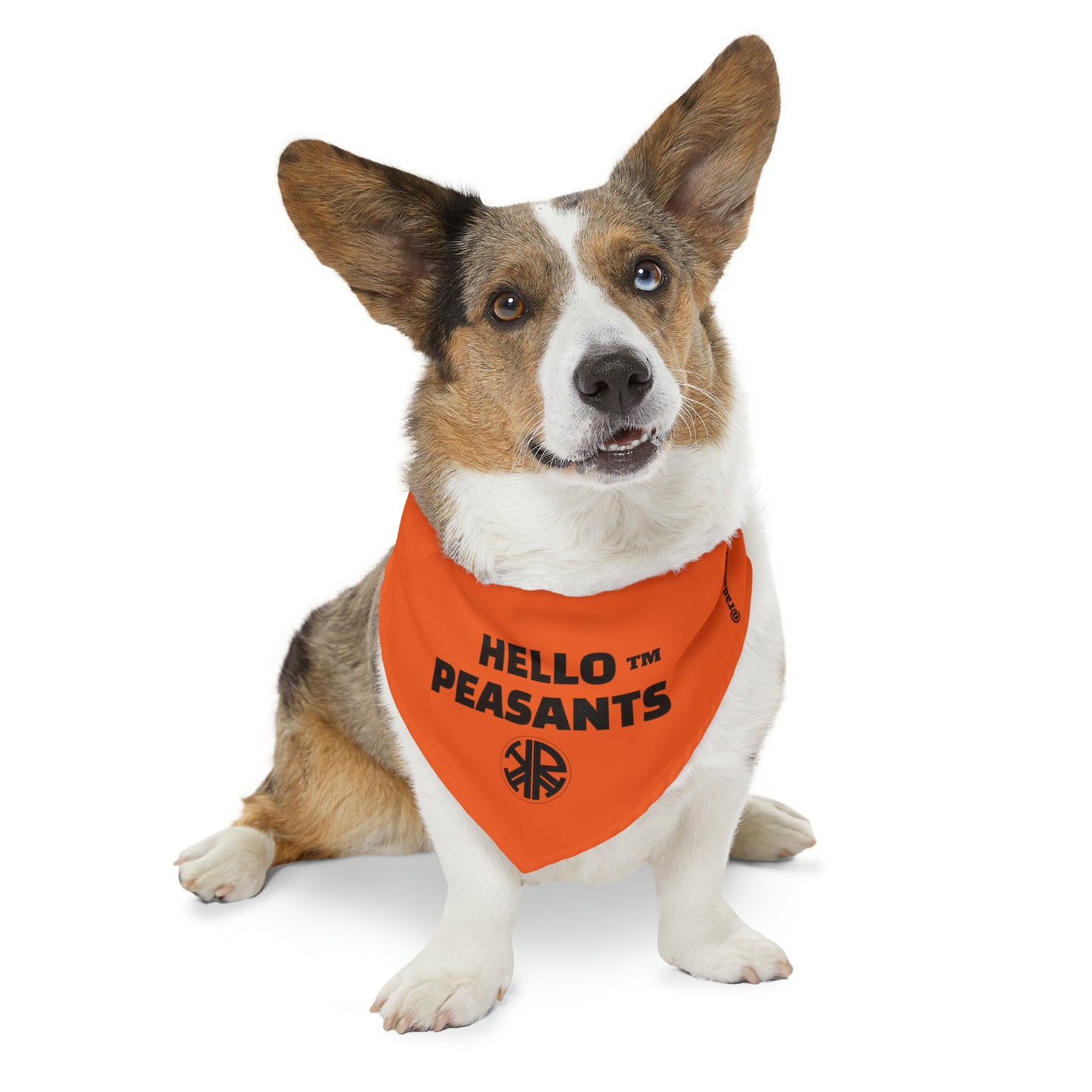 HELLO PEASANTS ™ Pet Bandana Collar designed by @radakatz
