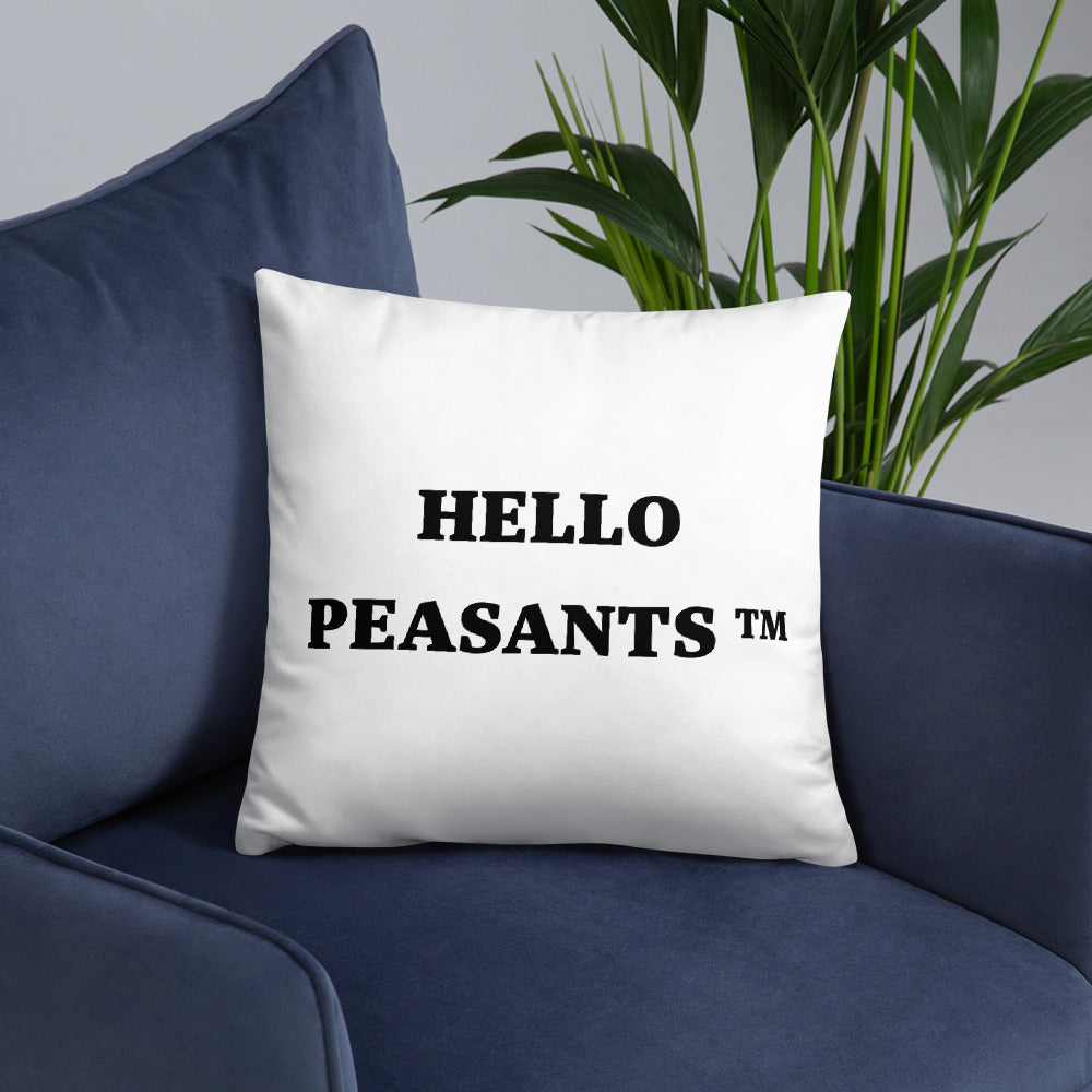 Not Your Basic Pillow! HELLO PEASANTS ™ Home decor by @radakaz