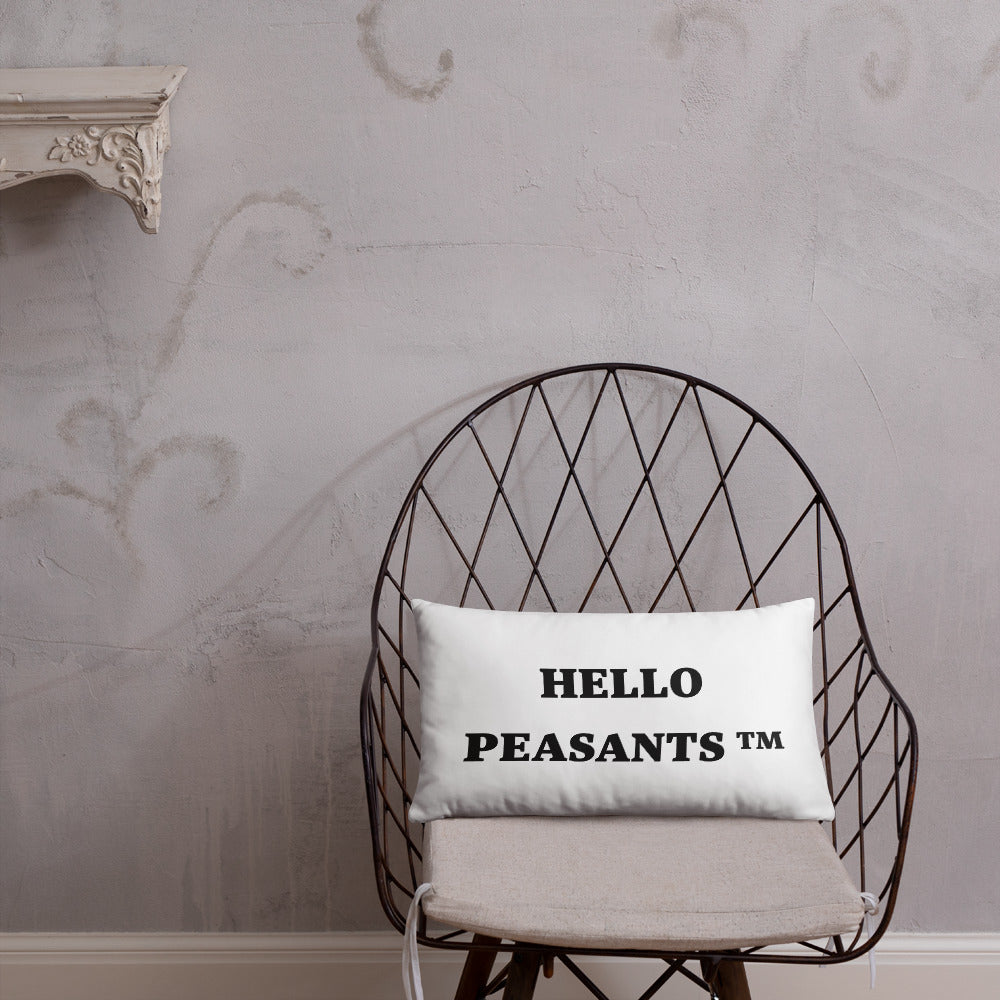 Not Your Basic Pillow! HELLO PEASANTS ™ Home decor by @radakaz