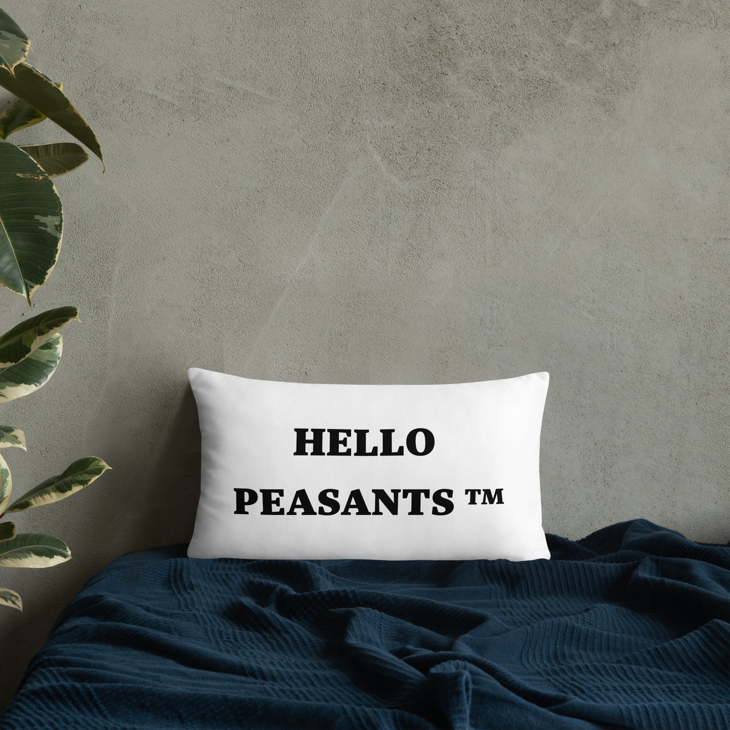 Not Your Basic Pillow! HELLO PEASANTS ™ Home decor by @radakaz