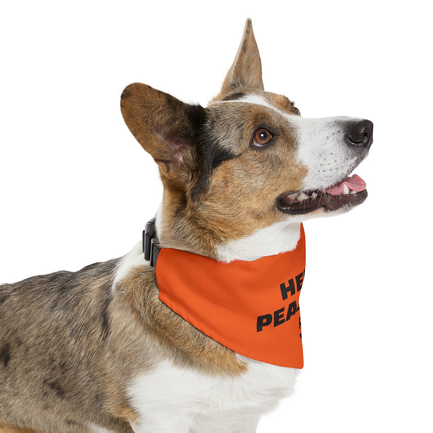 HELLO PEASANTS ™ Pet Bandana Collar designed by @radakatz