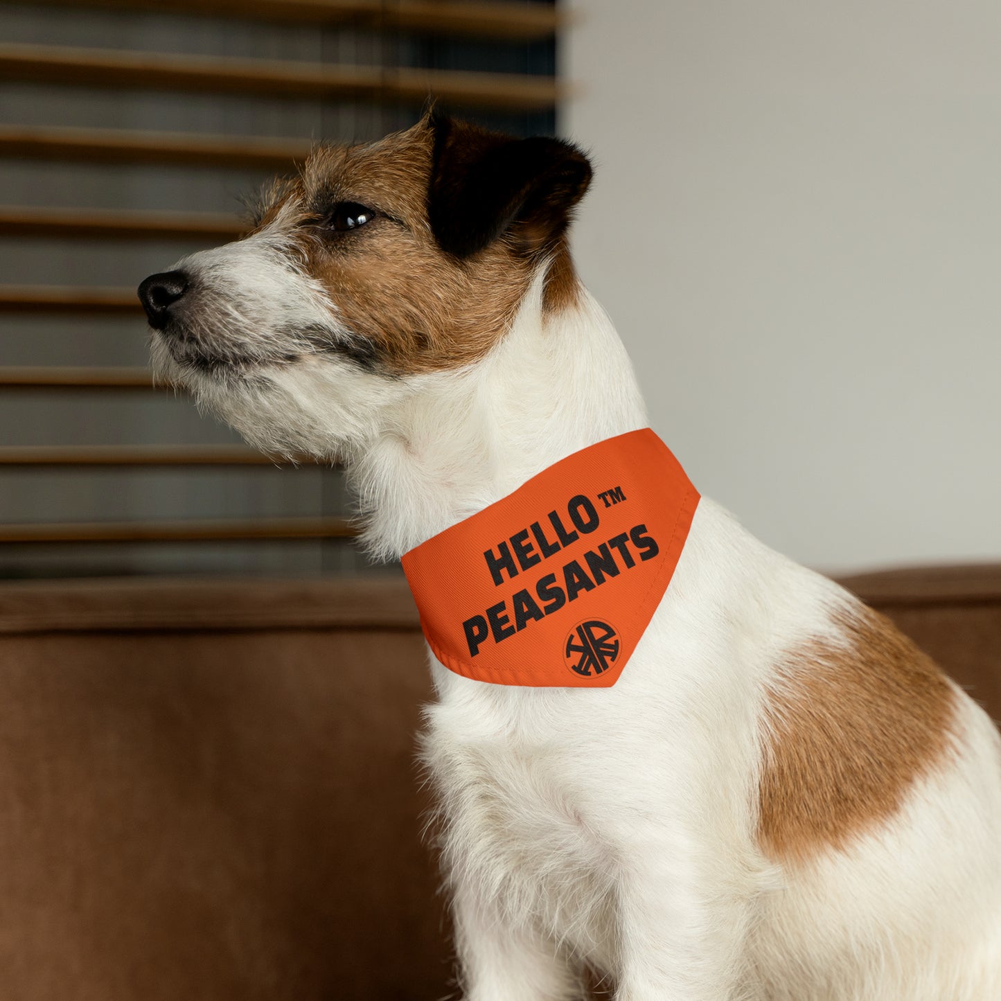 HELLO PEASANTS ™ Pet Bandana Collar designed by @radakatz