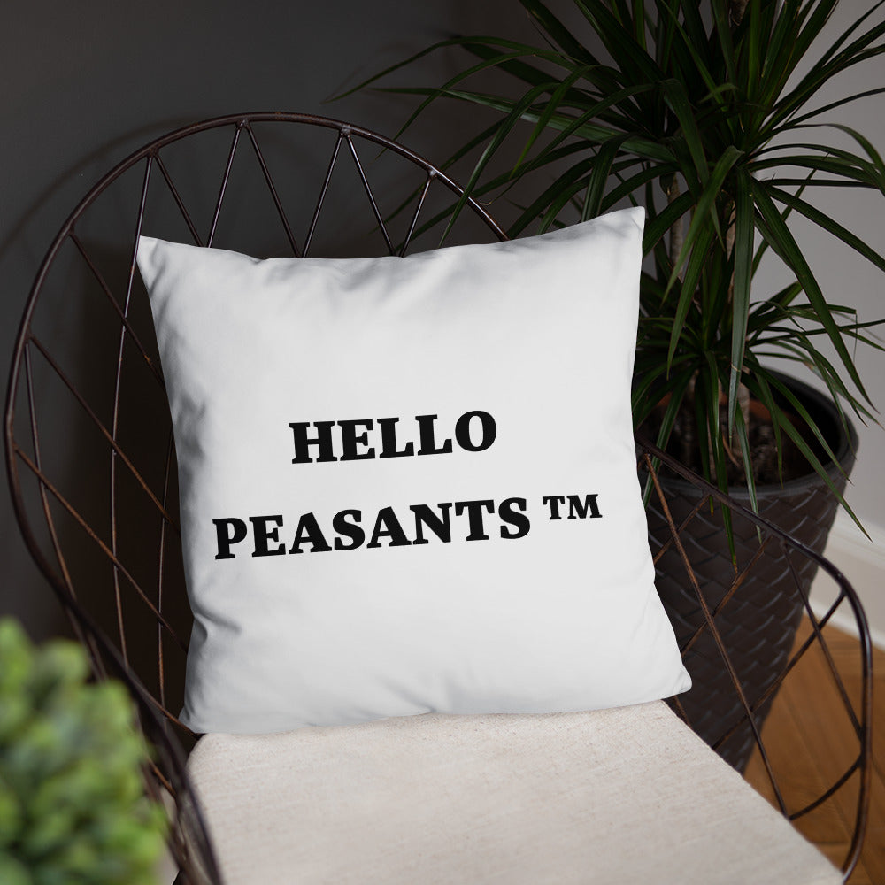 Not Your Basic Pillow! HELLO PEASANTS ™ Home decor by @radakaz
